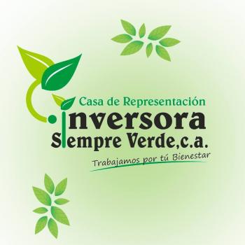 MORINGA 300 MG X 60 CAP SIEMPRE VERDE 