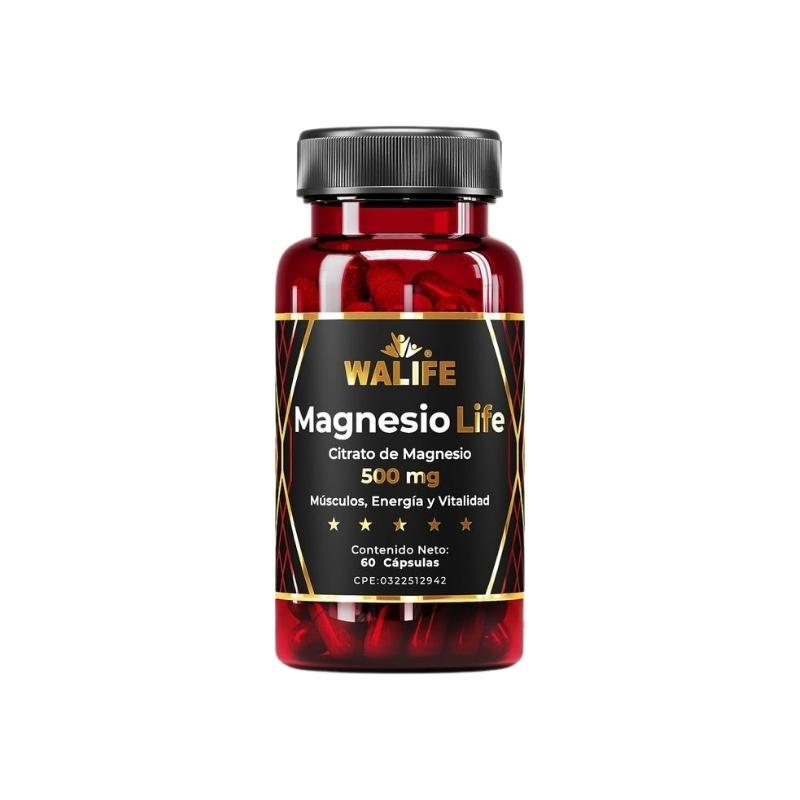 MAGNESIO LIFE CITRATO DE MAGNESIO 500 MG X 60 CAP