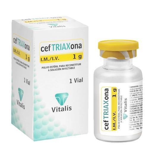 CEFTRIAXONA 1 G POLVO P SOL INYECT IM / IV 1 AMP
